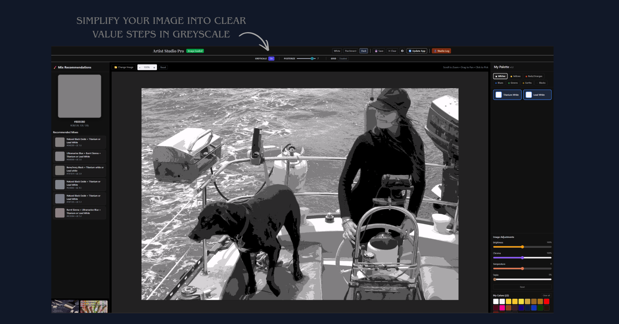 Artist Studio Pro posterize greyscale