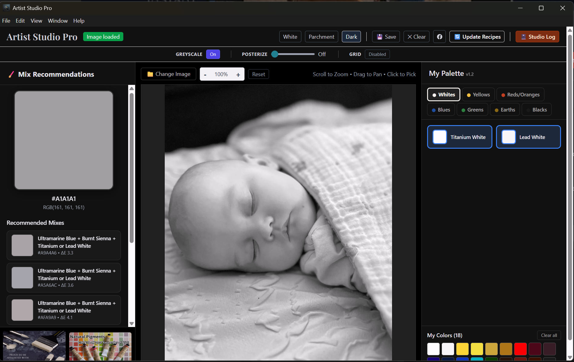Artist Studio Pro greyscale mode showing grey mix recommendations for a baby portrait