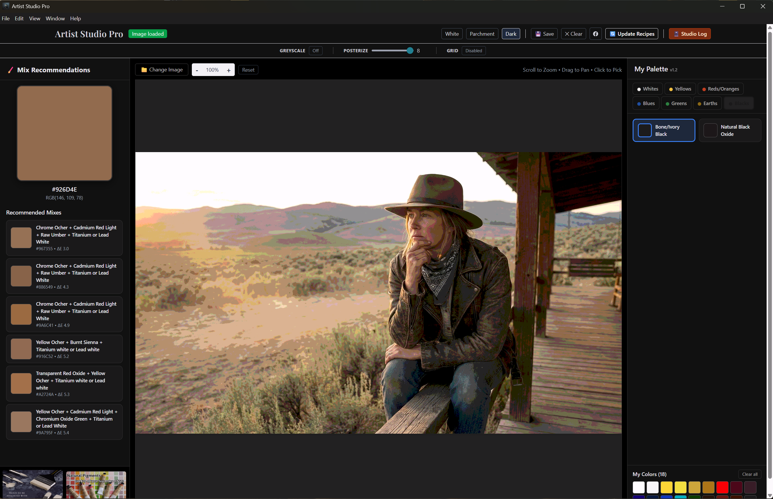 Artist Studio Pro posterize tool showing simplified color groups of a portrait reference