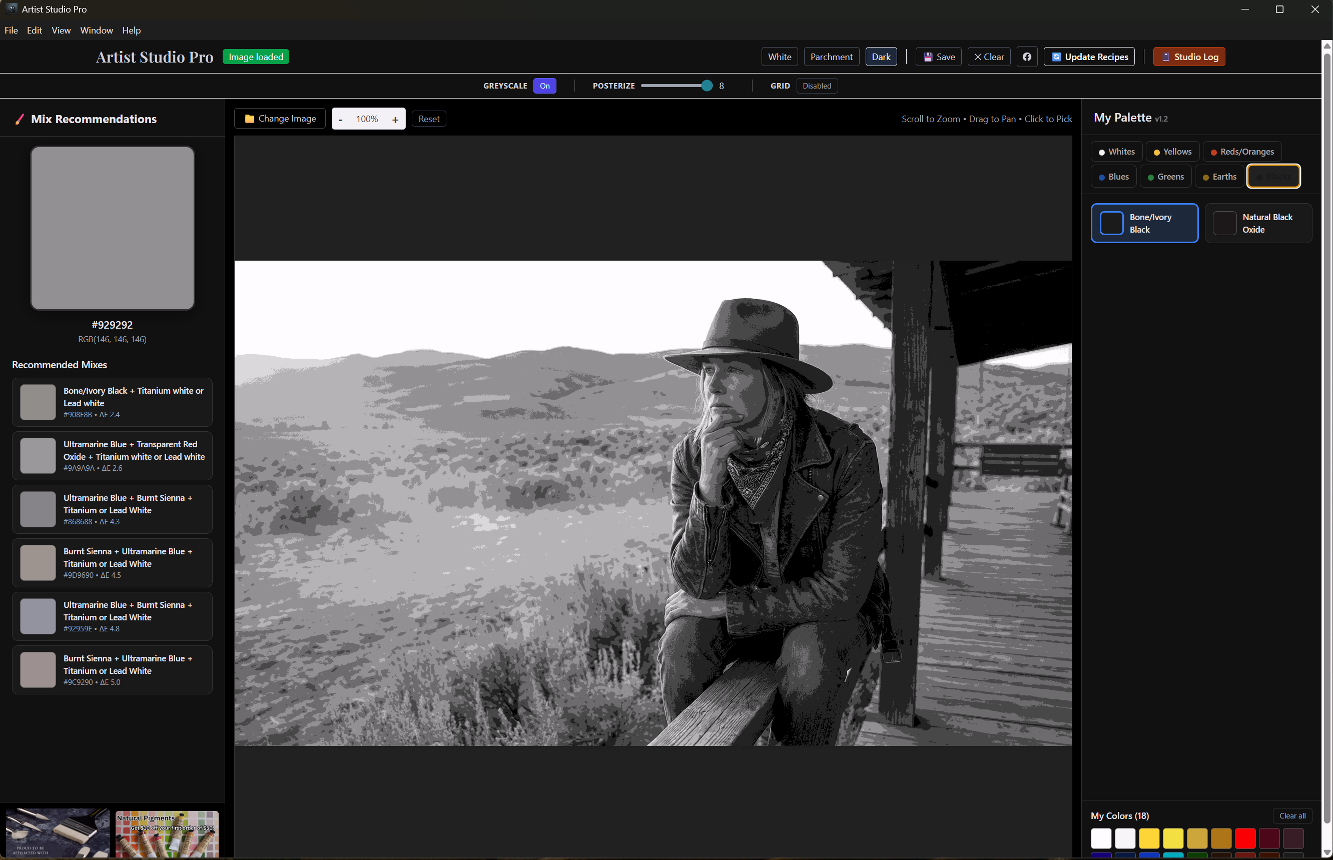 Artist Studio Pro posterize tool showing a greyscale value study of a portrait